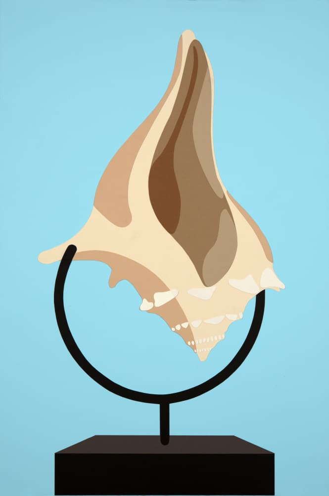 Elegant Conch Shell by Rankin Willard — canvas wall art