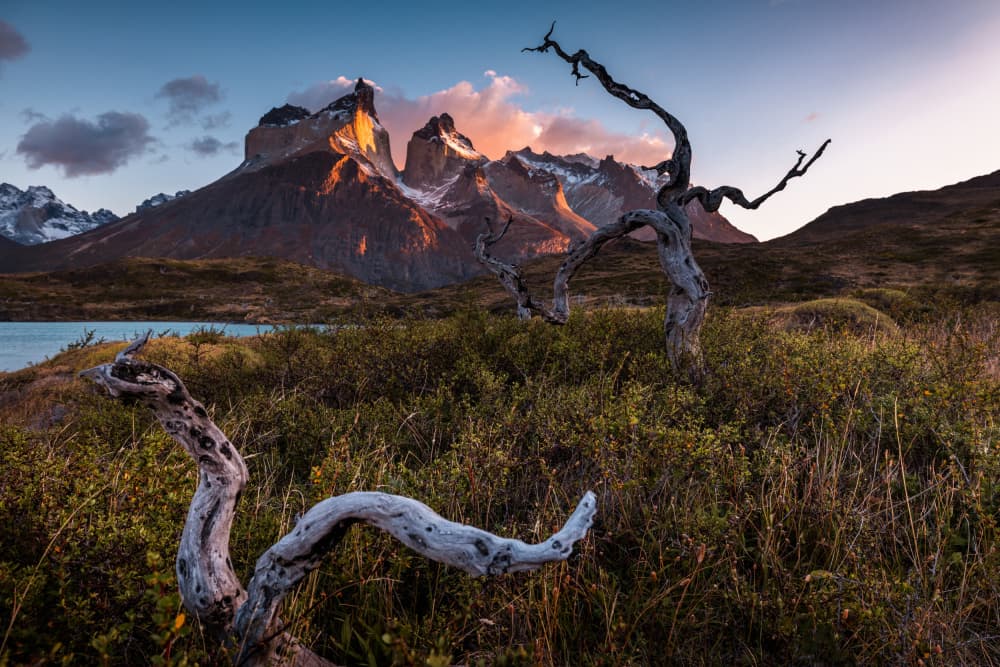 Golden Patagonia Peaks by Li Ying — canvas wall art
