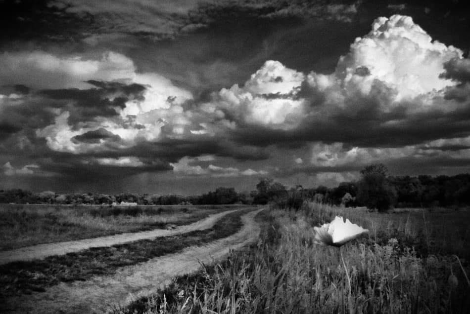 Dramatic Field Path by Codrin Lupei — canvas wall art