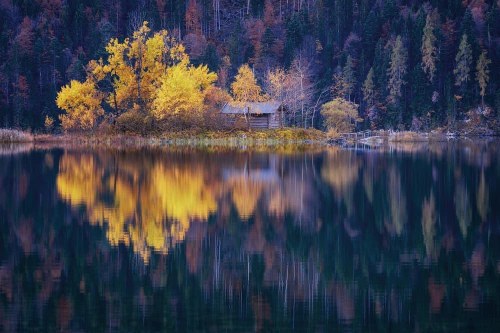 Golden Autumn Reflection by Norbert Maier — canvas wall art