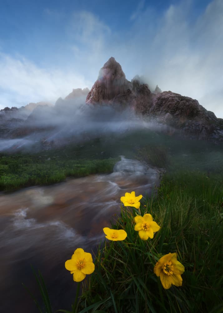 Yellow Flowers Misty Mountains by Leah Xu — canvas wall art