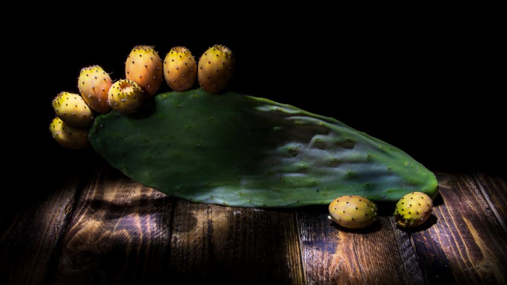 Rustic Golden Prickly Pears by Felice Angelino — canvas wall art
