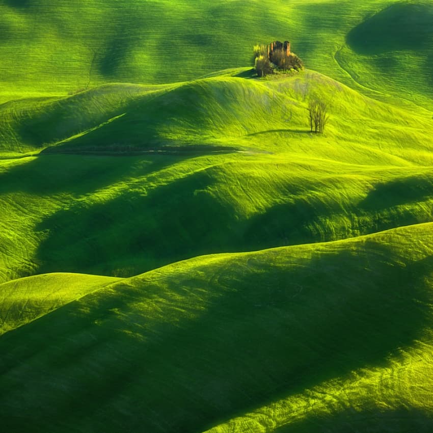 Rolling Green Landscape by Krzysztof Browko — canvas wall art