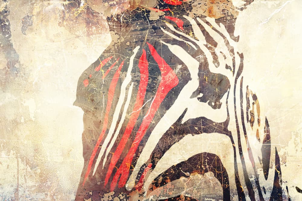 Striking Red Zebra by Rafal Kulik — canvas wall art