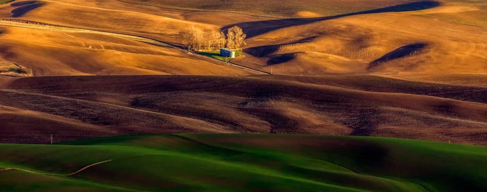 Colorful Rolling Hills by David H Yang — canvas wall art