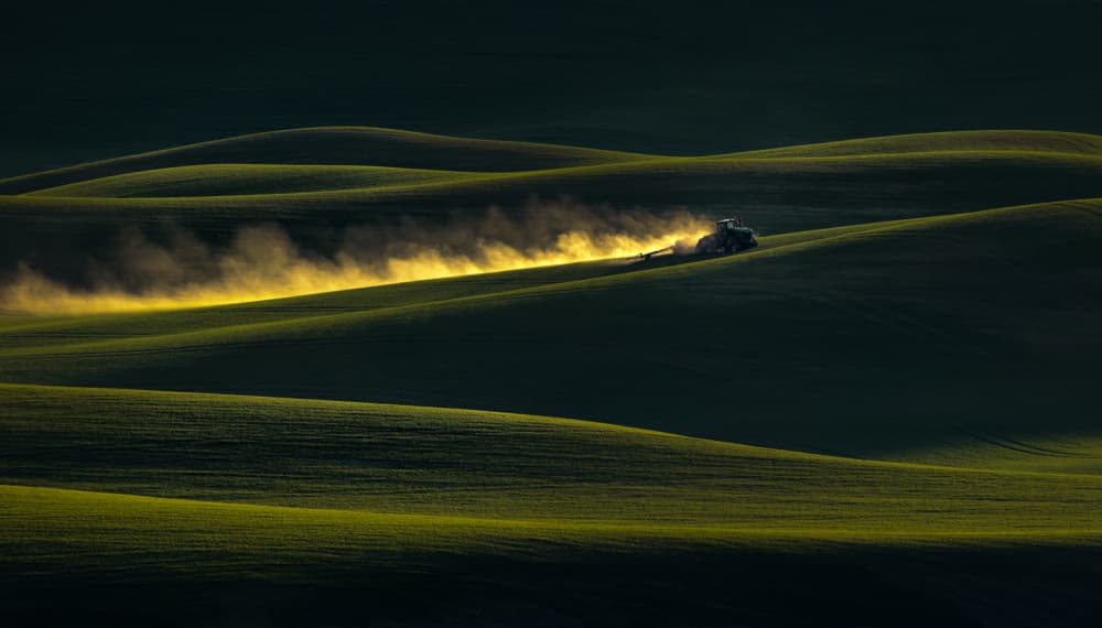 Golden Dust Fields by Joanna W — canvas wall art
