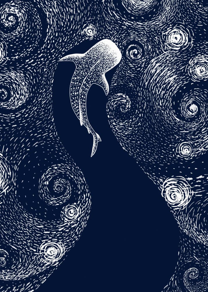 Starry Whale Shark by Alirıza ÇAKIR — canvas wall art