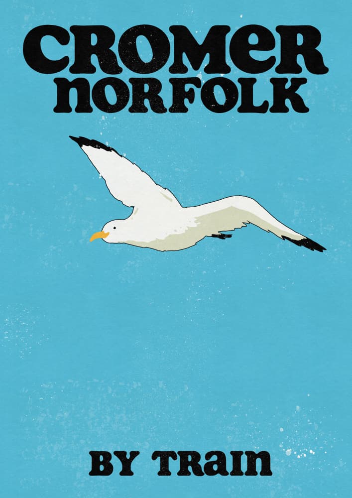 Cromer Norfolk Seagull Flight by Nicholas — canvas wall art