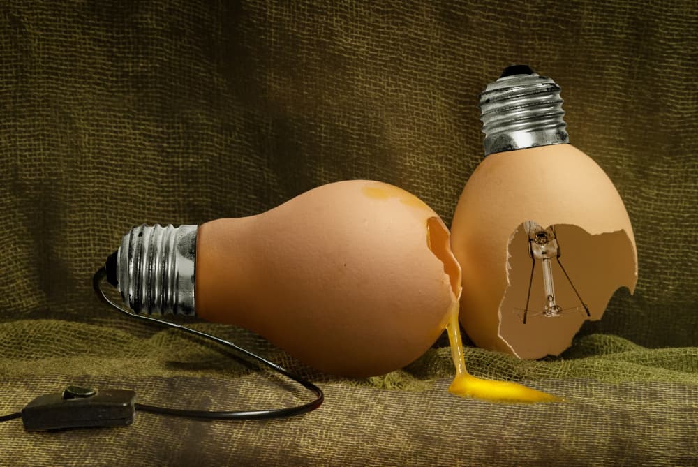 Conceptual Egg Lightbulb by Biao Huang — canvas wall art