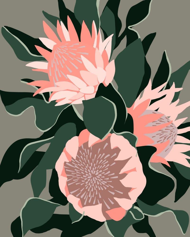 Elegant Protea Blooms by Ophelia Pang — canvas wall art