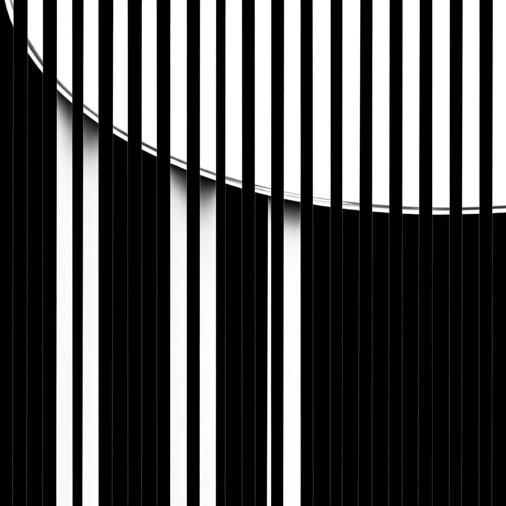 Curved Black White Stripes by Gilbert Claes — canvas wall art