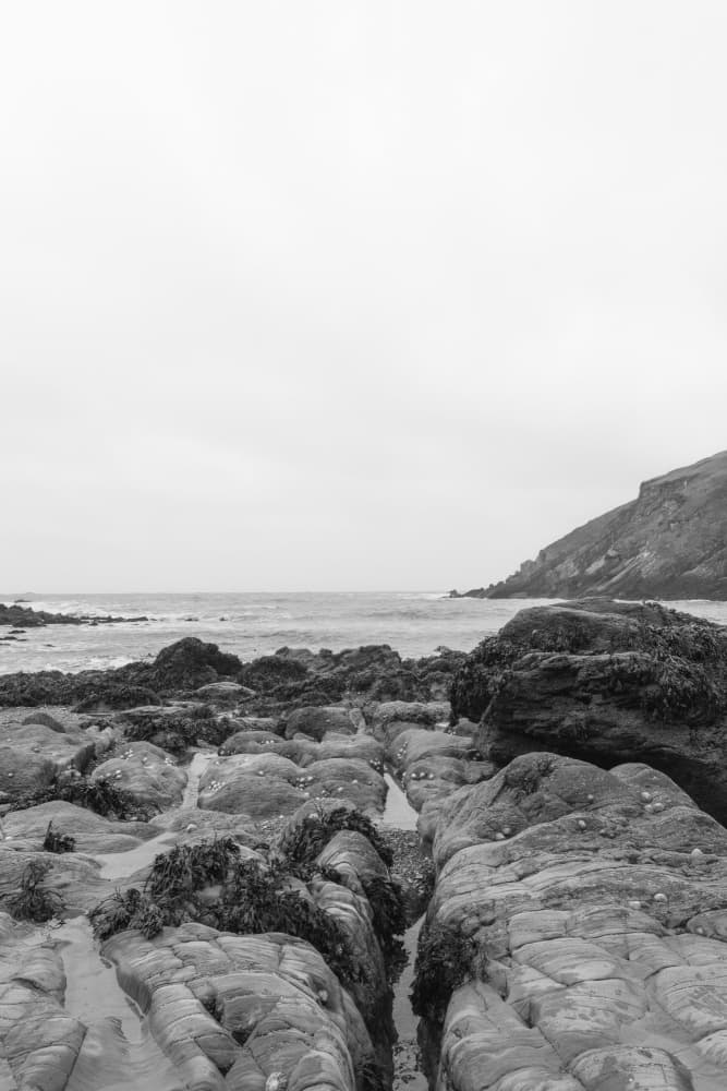Serene Rocky Coast by Lynann Colligan — canvas wall art