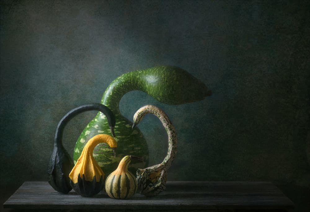 Autumn Gourds Still Life by Catherine Wang — canvas wall art