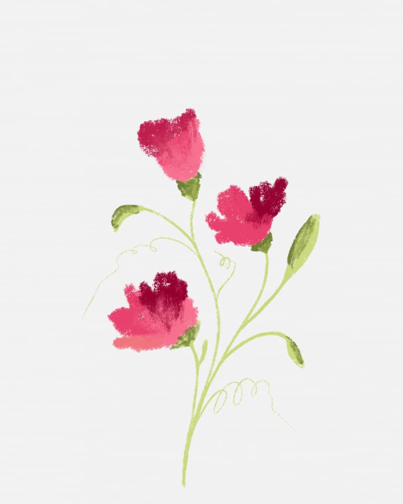 Delicate Pink Blooms by Sonia Pal — canvas wall art