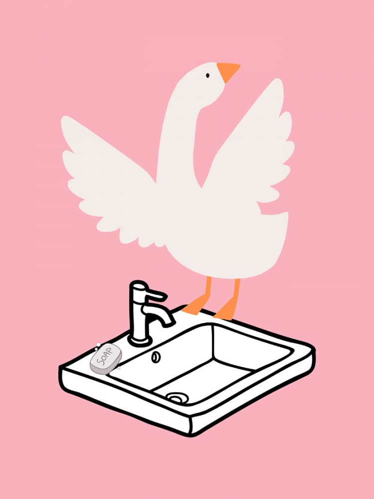 Funny Goose Wash by Jolly and Dash — canvas wall art