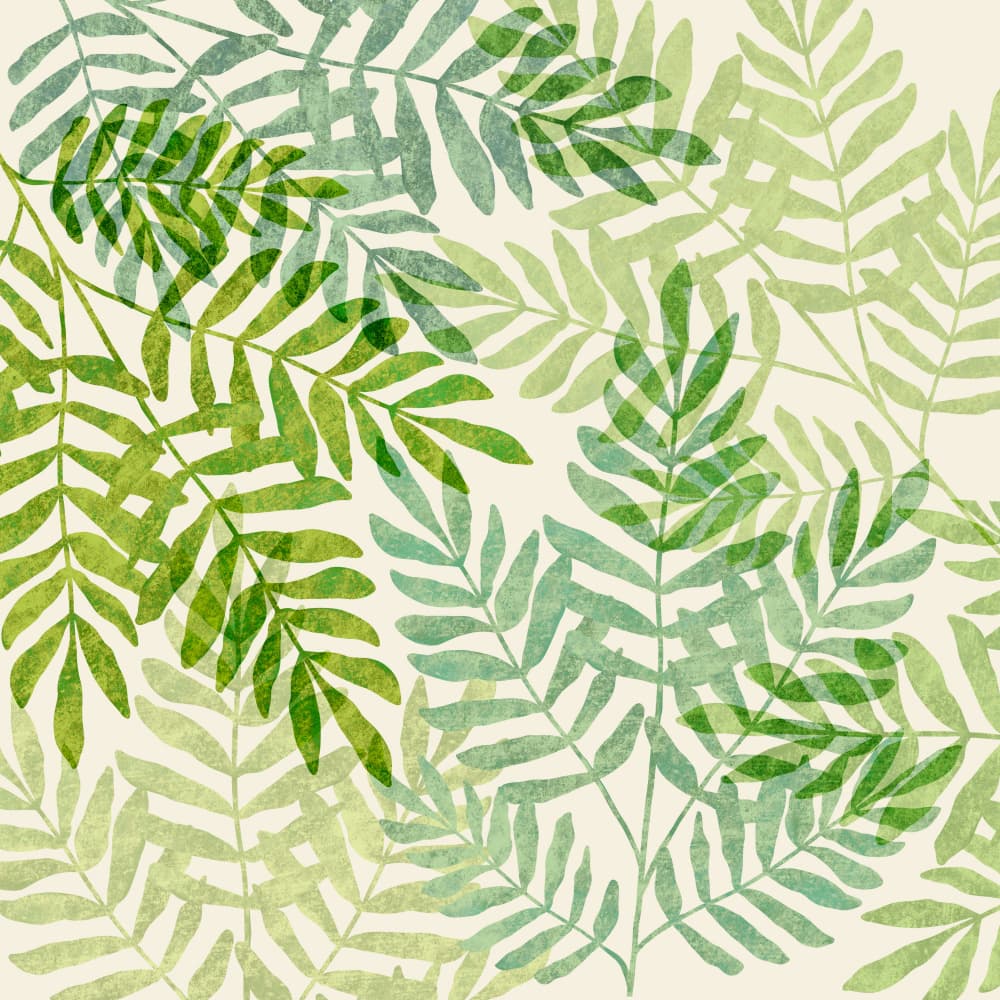 Tropical Forest Ferns by Kristian Gallagher — canvas wall art