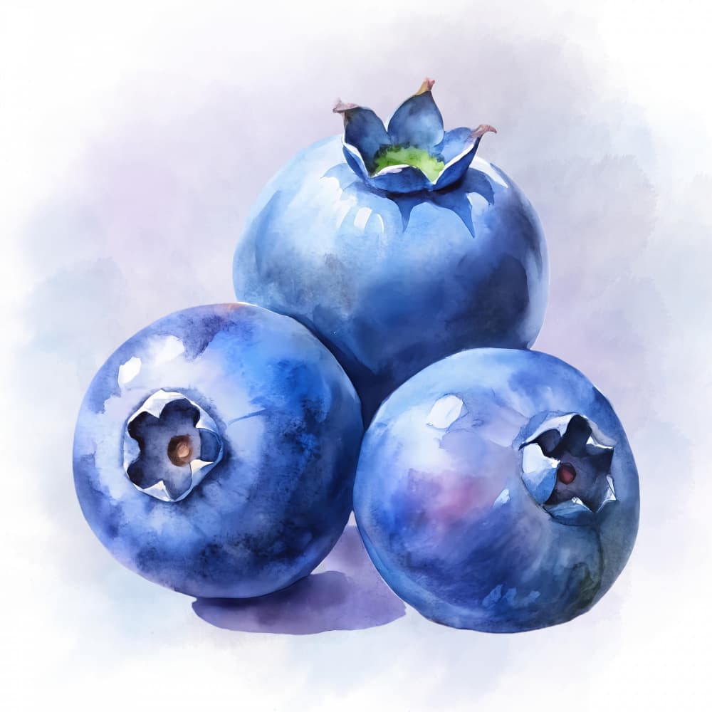 Vibrant Blueberries by Saskia Michele — canvas wall art