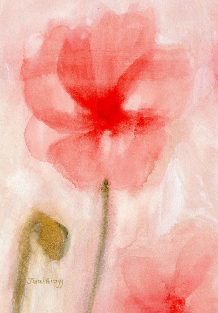 Red Watercolor Poppies by Janel Bragg — canvas wall art