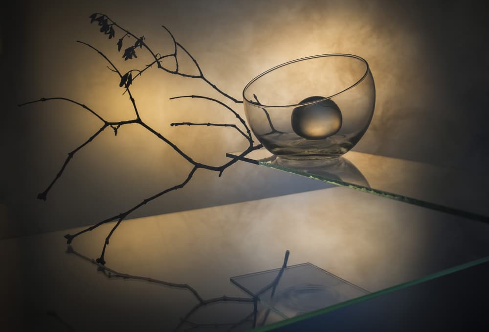 Sphere And Branch Reflection by Evgeniy Popov — canvas wall art