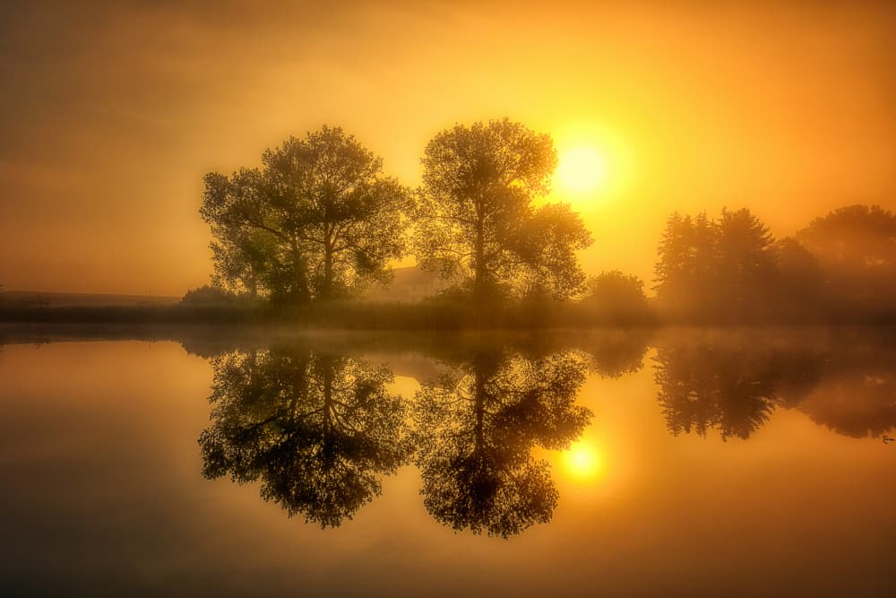 Misty Golden Sunrise by Judith Kuhn — canvas wall art
