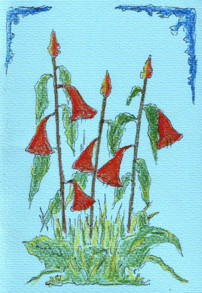 Vibrant Red Bell Flowers by Kulik — canvas wall art