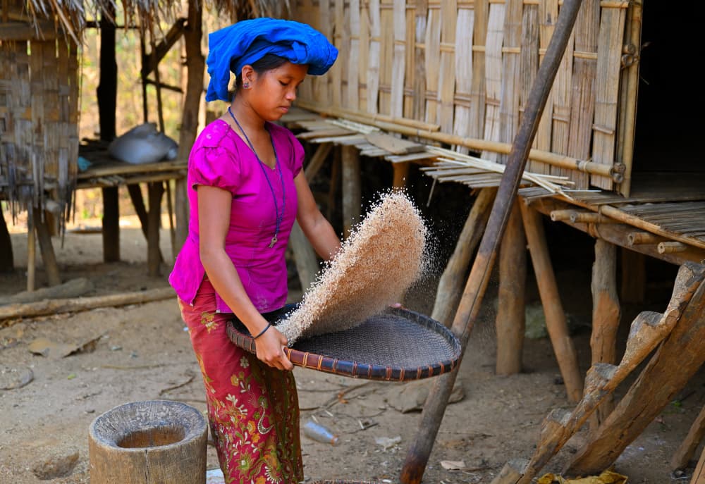 Traditional Grain Winnowing by MD MAHABUB HOSSAIN KHAN — canvas wall art