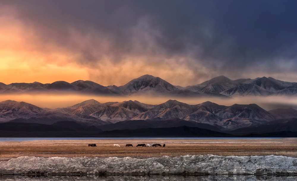 Misty Mountain Lake Horses by Larry Deng APA — canvas wall art