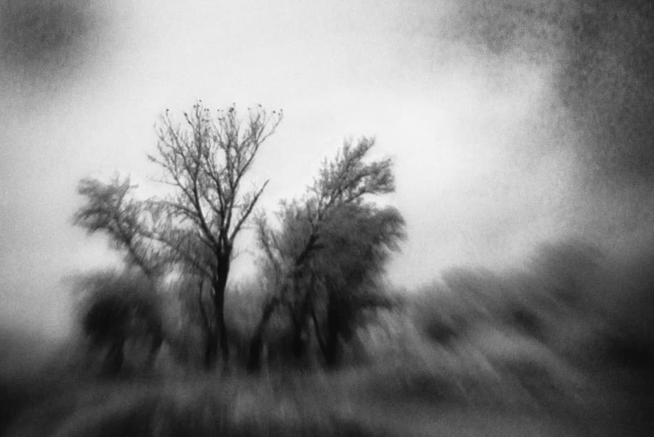 Blurred Winter Trees by Codrin Lupei — canvas wall art