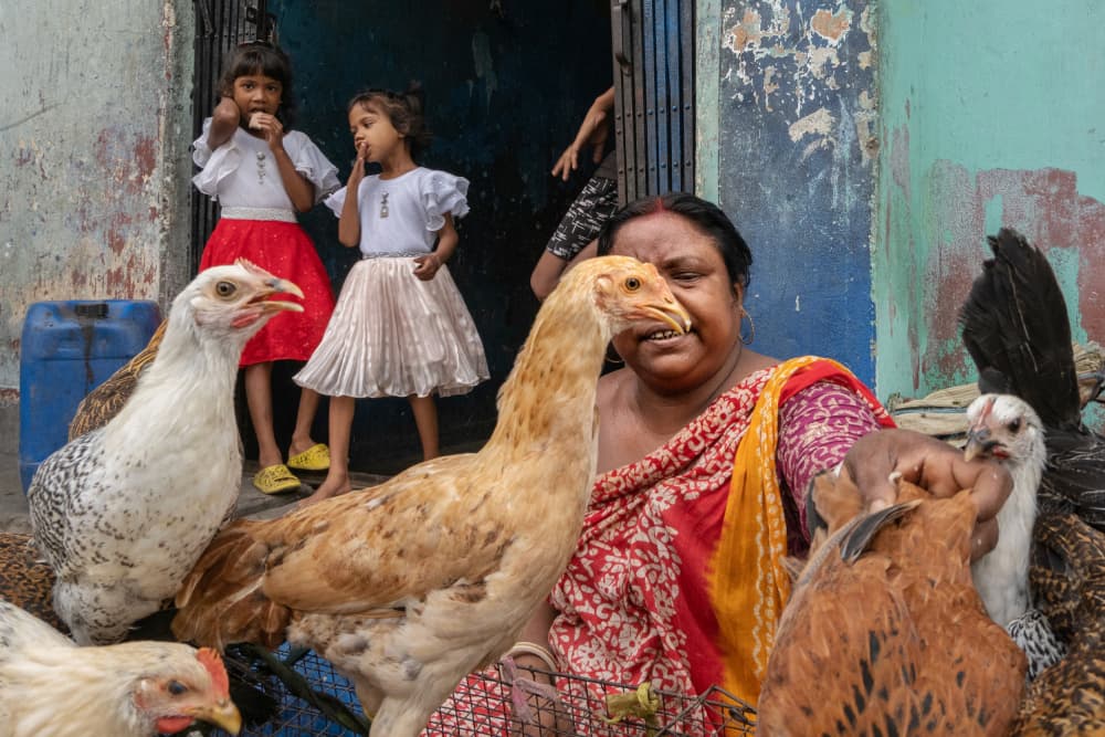 Indian Daily Life Scene by Kuntal Biswas — canvas wall art
