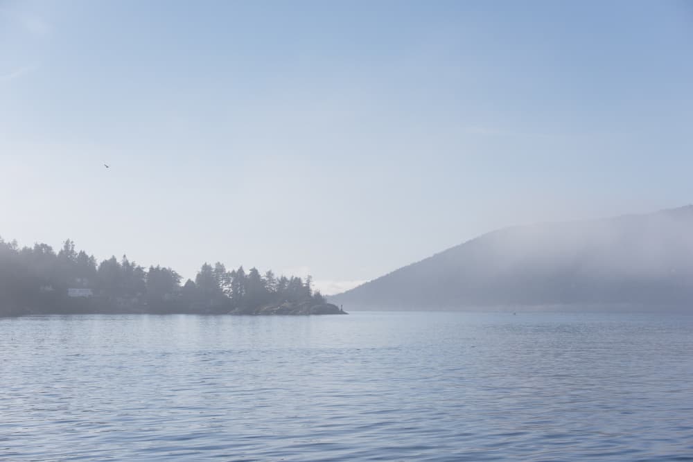 Tranquil Misty Bay by Lynann Colligan — canvas wall art