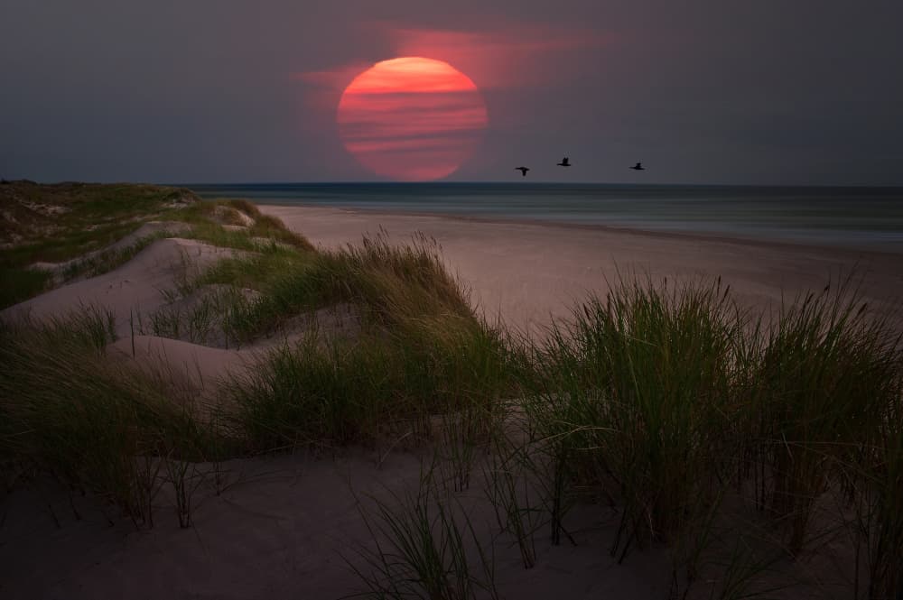Red Sun Over Dunes Beach by Erik Engström — canvas wall art