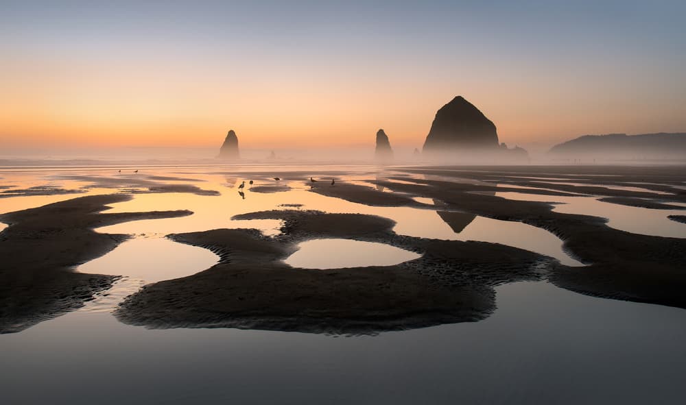 Misty Sea Stack Sunrise by Shenshen Dou — canvas wall art