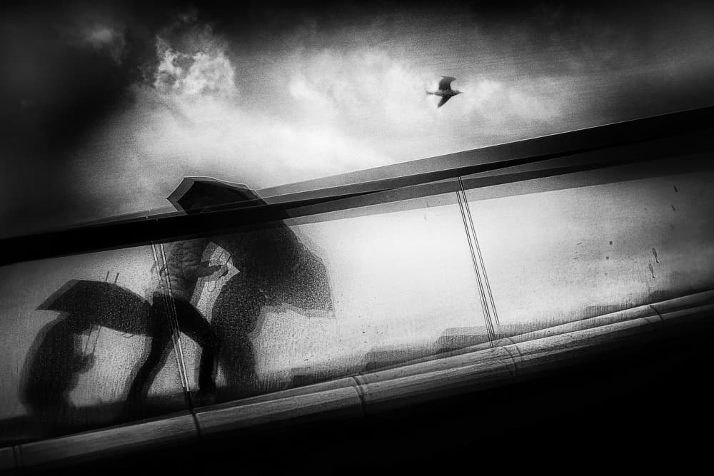 Urban Umbrellas Sky by Damijan Sedevcic — canvas wall art