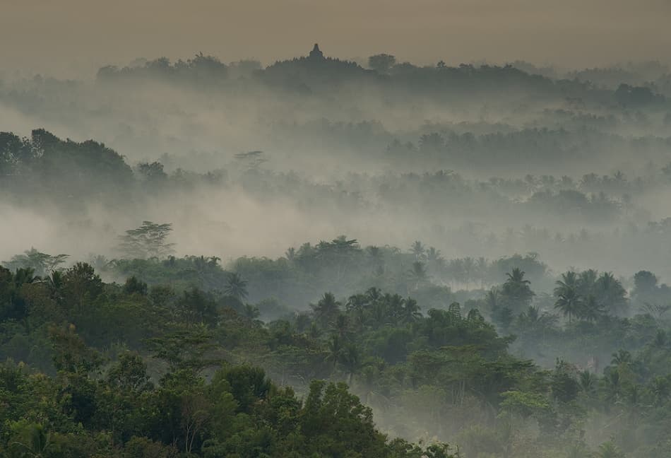 Misty Jungle Temple by Karsten Wrobel — canvas wall art