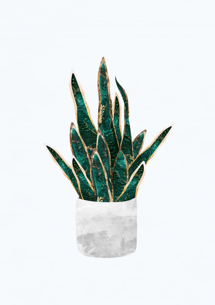 Golden Emerald Snake Plant by Sarah Manovski — canvas wall art