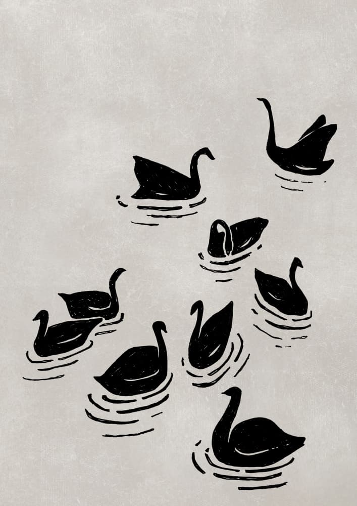 Flock of Black Swans by Rosana Laiz Blursbyai — canvas wall art