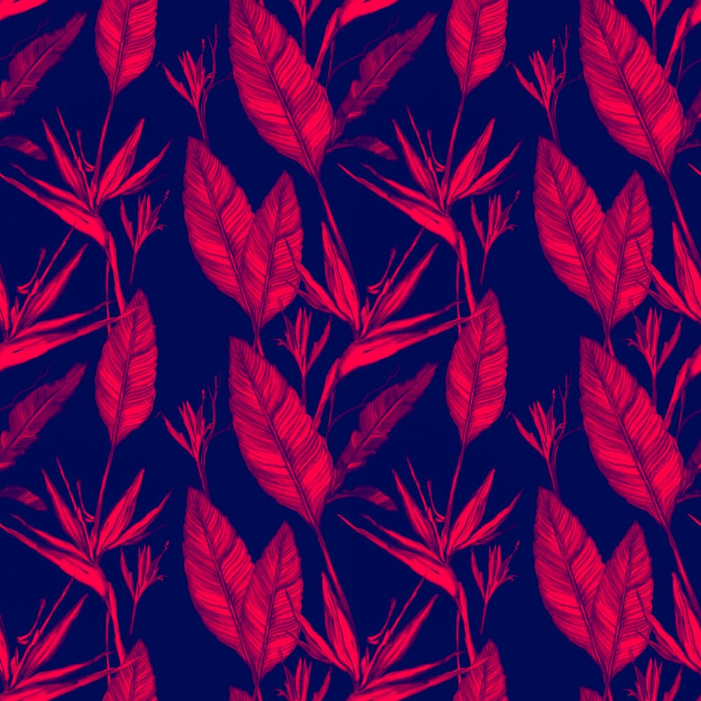 Deep Blue Tropic Bloom by Josie George — canvas wall art