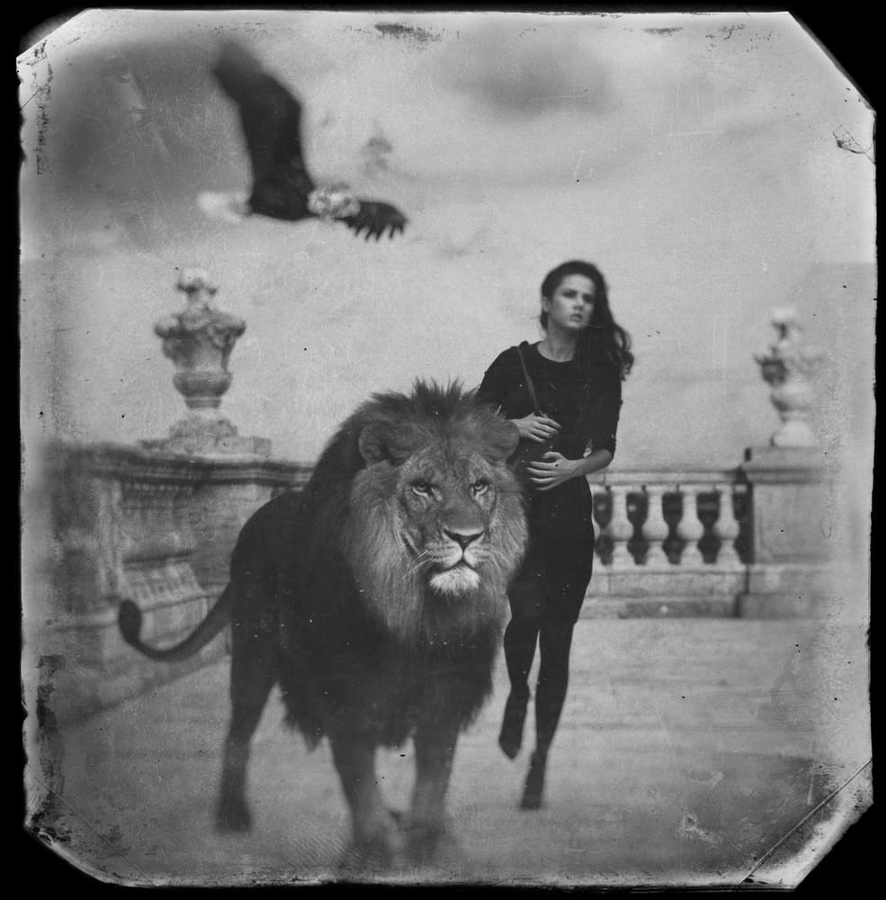 Regal Woman Lion by Krisztina Lacz — canvas wall art