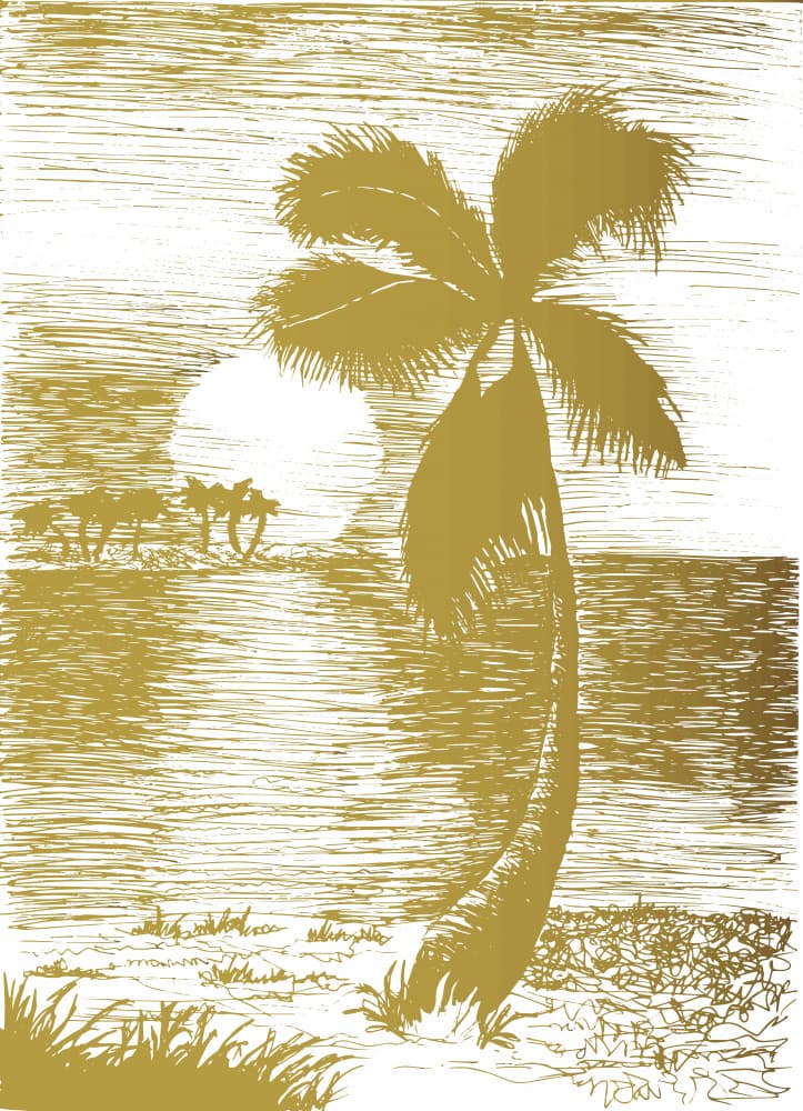 Tropical Sunset Palm by Marika Barsrsind β canvas wall art