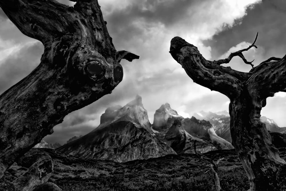Stark Mountain Wilderness by Michel Groleau — canvas wall art