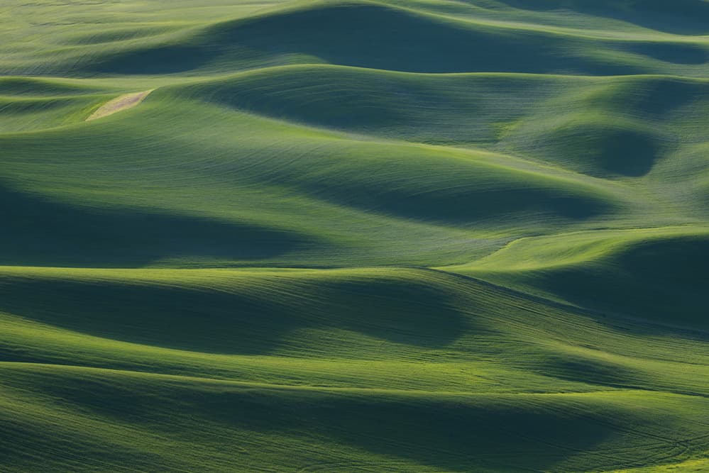 Emerald Field Waves by 李从军 / Austin Li — canvas wall art
