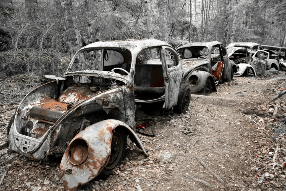 Abandoned Rusty Beetles by Christina Sillen — canvas wall art