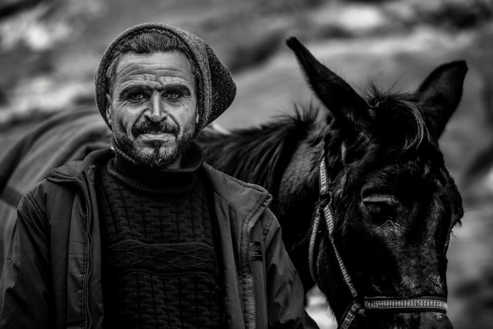 Man and His Donkey by Marco Tagliarino — canvas wall art
