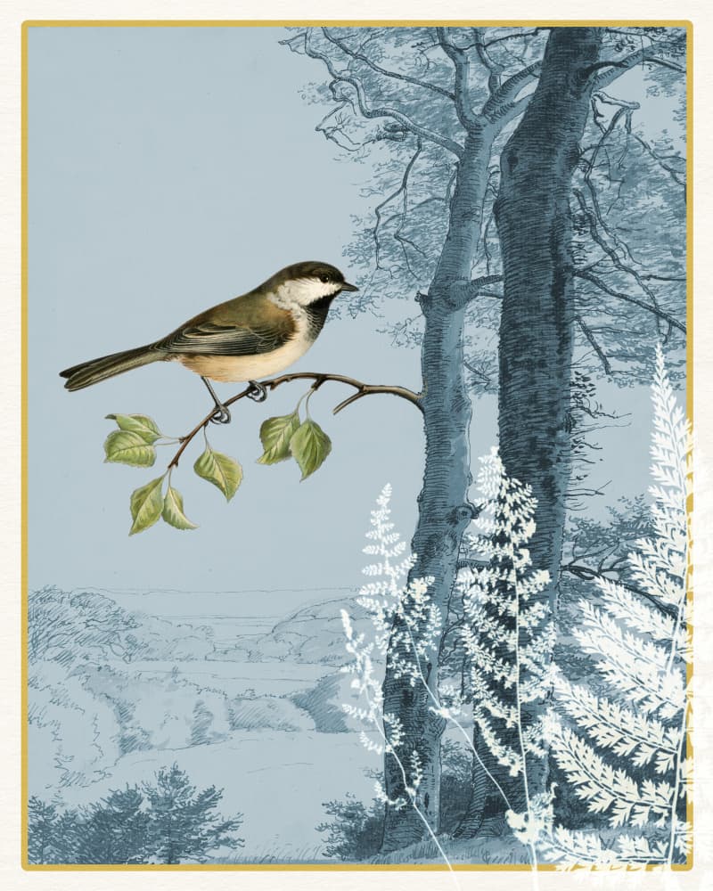 Blue Forest Bird by Wild Violets — canvas wall art