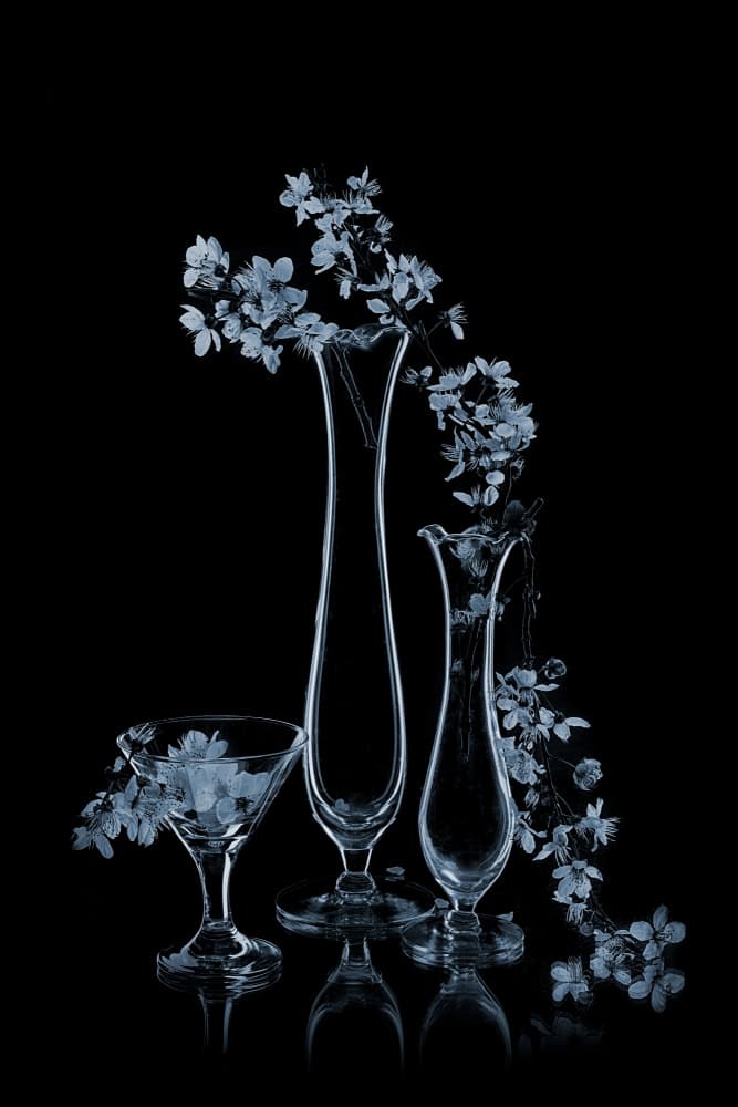 Blue Flowers In Glass Vases by Lydia Jacobs — canvas wall art