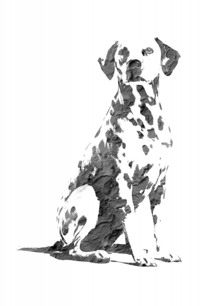 Textured Dalmatian Dog by Rafal Kulik — canvas wall art