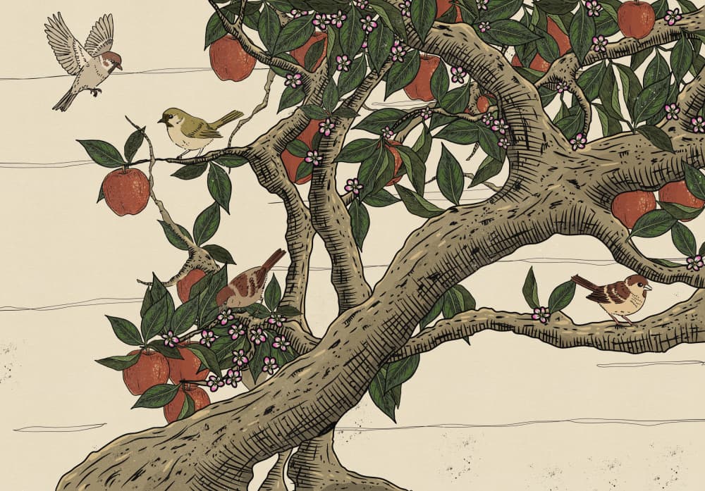 Birds In Apple Tree by Nicholas — canvas wall art