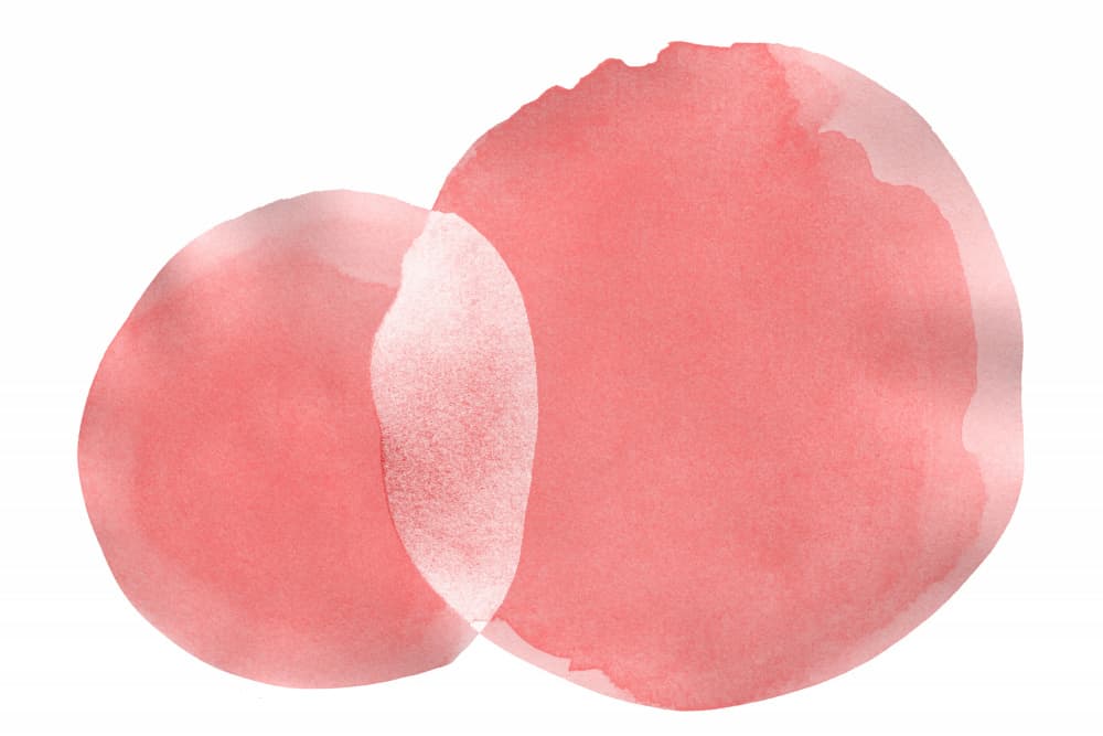 Soft Coral Shapes by amini54 — canvas wall art