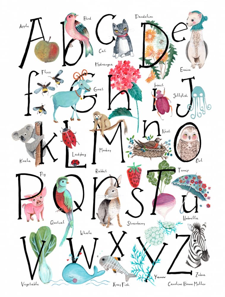 ABC illustration by Caroline Bonne Müller — canvas wall art