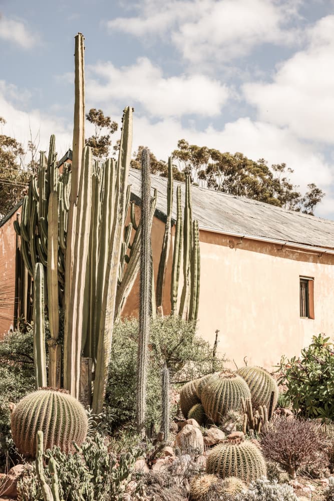 Desert Retreat by Shot by Clint — canvas wall art